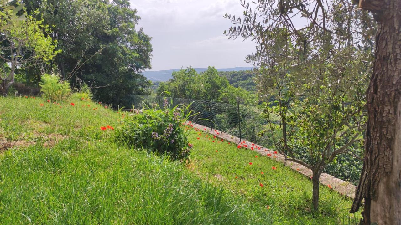 A 2 Passi Dal Lago Grotte di Castro Zewnętrze zdjęcie
